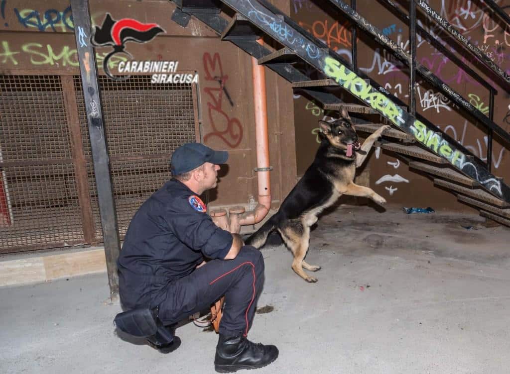Francofonte, armi e droga nascosti in casa. Arrestati